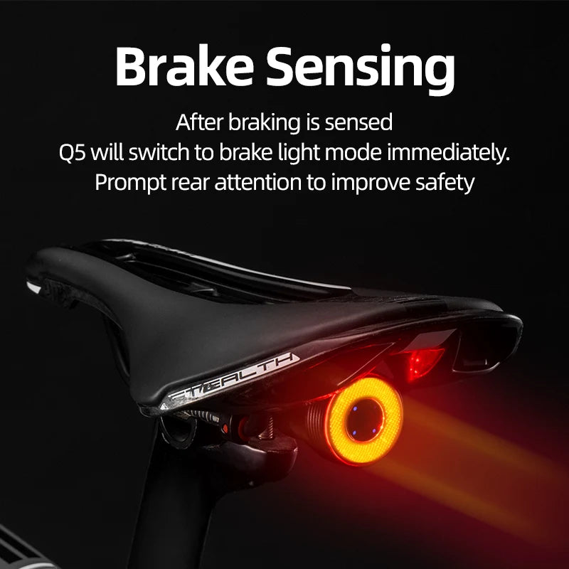 ROCKBROS Bicycle Smart Auto Brake Sensing Light IPx6 Waterproof LED Charging Cycling Taillight Bike Rear Light Accessories Q5