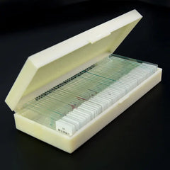 Prepared Glass Slides Biological Microscope Slides Specimen Slides for Science Education Learning Teaching 50pcs/box