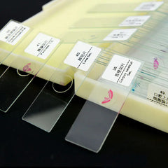 Prepared Glass Slides Biological Microscope Slides Specimen Slides for Science Education Learning Teaching 50pcs/box