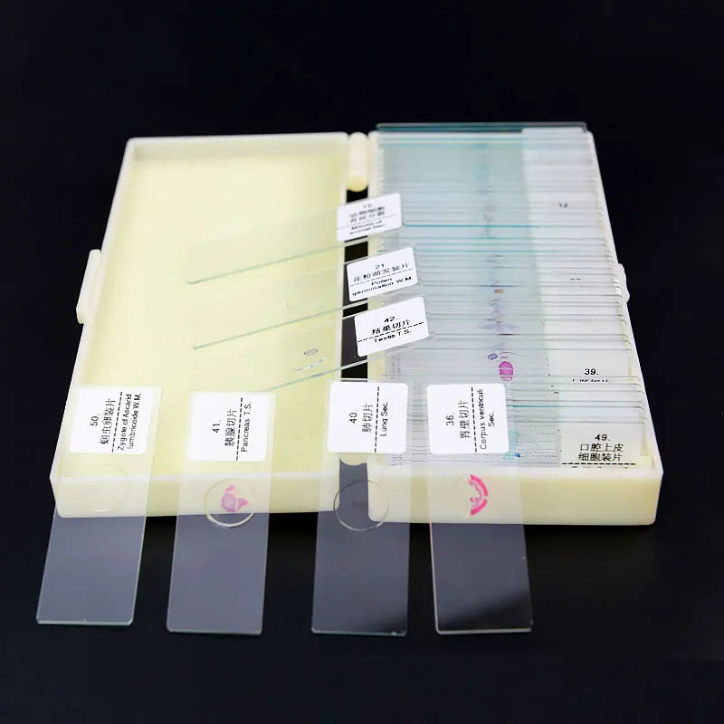 Prepared Glass Slides Biological Microscope Slides Specimen Slides for Science Education Learning Teaching 50pcs/box