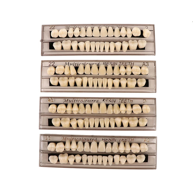 28teeth Resin Denture Teeth Comparator Mirror Dentistry Bleaching Dental Plate Research On Dental Education Model